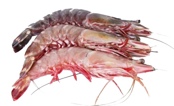 chngrimas